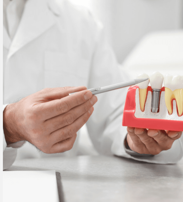 Dentista en La Florida explicando tratamiento con modelo dental